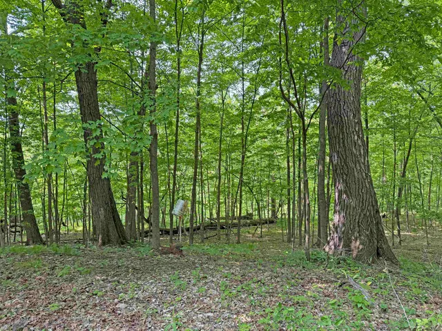 $84,900 | L10-13 Eggbrecht, La Valle, WI 53941