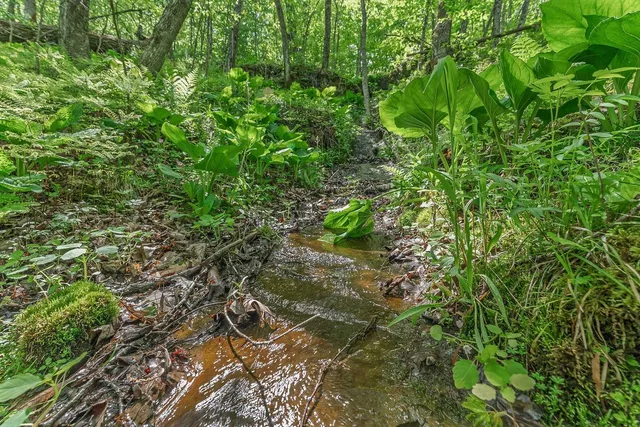 $84,900 | L10-13 Eggbrecht, La Valle, WI 53941