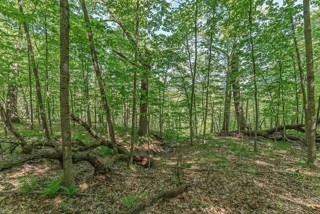 $84,900 | L10-13 Eggbrecht, La Valle, WI 53941