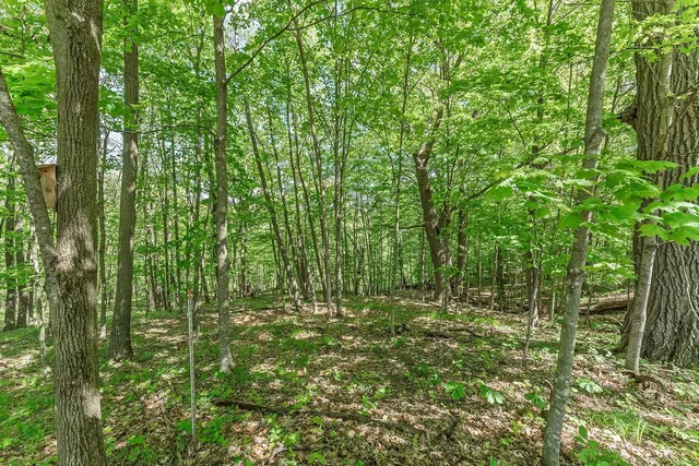 $84,900 | L10-13 Eggbrecht, La Valle, WI 53941