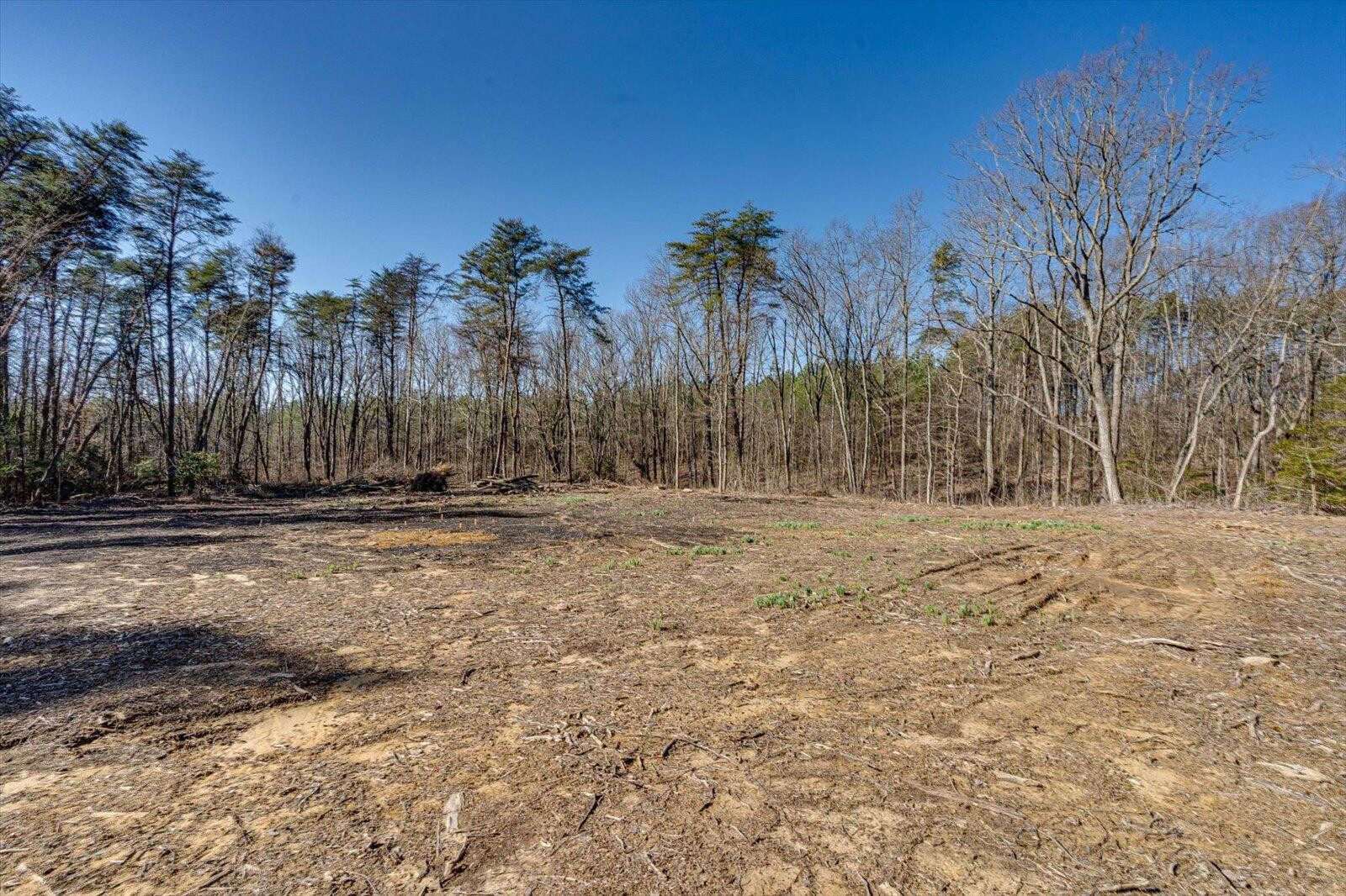 805 Dukes Road Signal Mountain, TN 37377 - Photo 14 of 33 Gallery Image 14