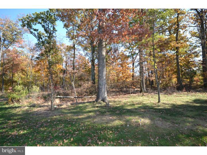 245 Barnhill Road Perkasie, PA 18944 - Photo 19 of 25 a backyard of apartments with large trees