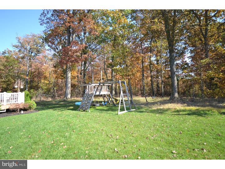 245 Barnhill Road Perkasie, PA 18944 - Photo 24 of 25 a view of a park with large trees
