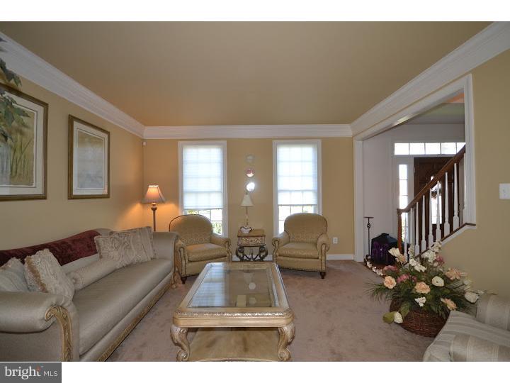 245 Barnhill Road Perkasie, PA 18944 - Photo 6 of 25 a living room with furniture flowerpot and a chandelier