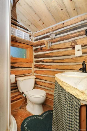 a bathroom with a sink and a toilet