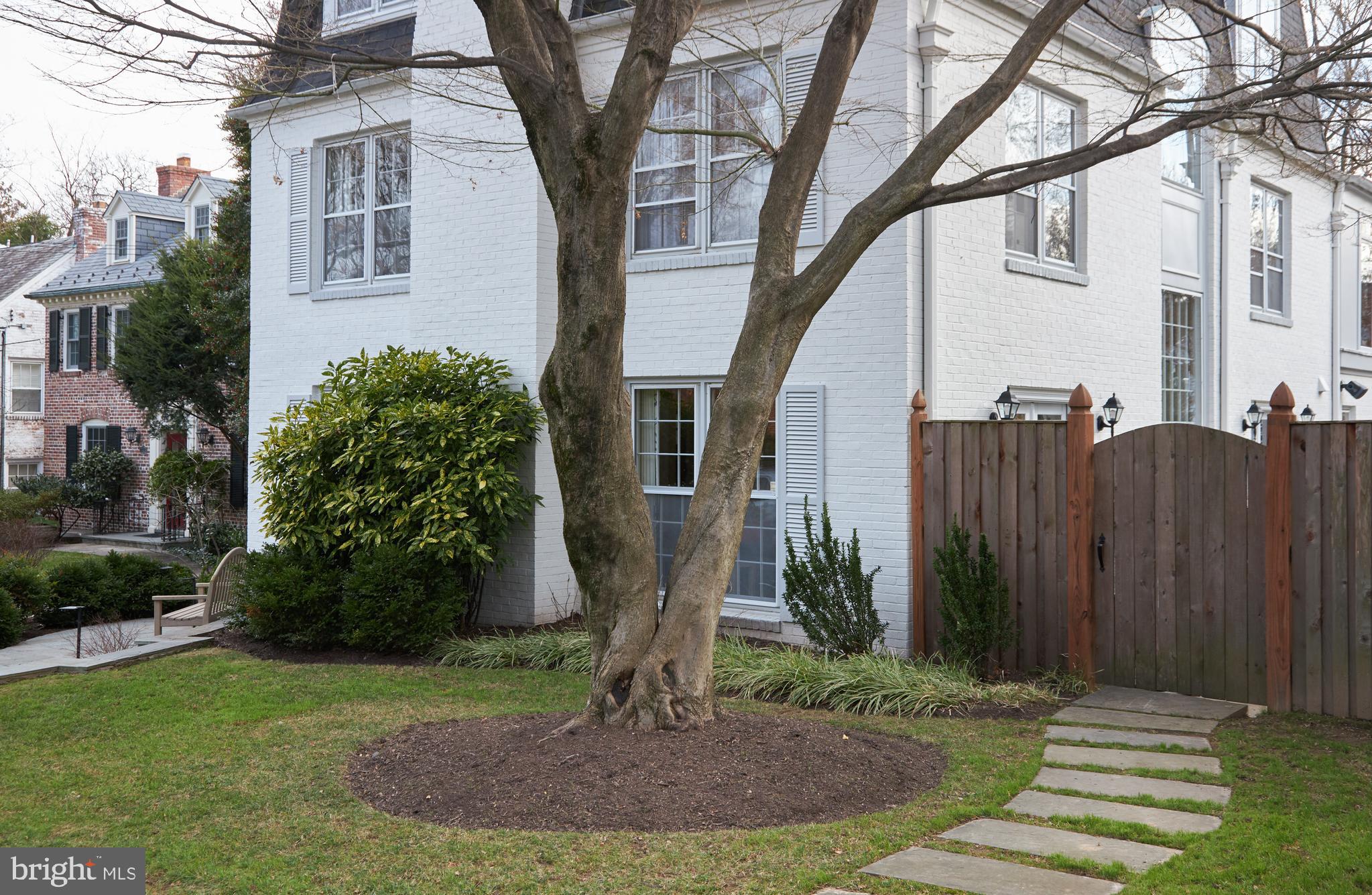 3626 Brandywine Street Northwest Washington, DC 20008 - Photo 5 of 61 Beautiful 3626 Brandywine Street, NW