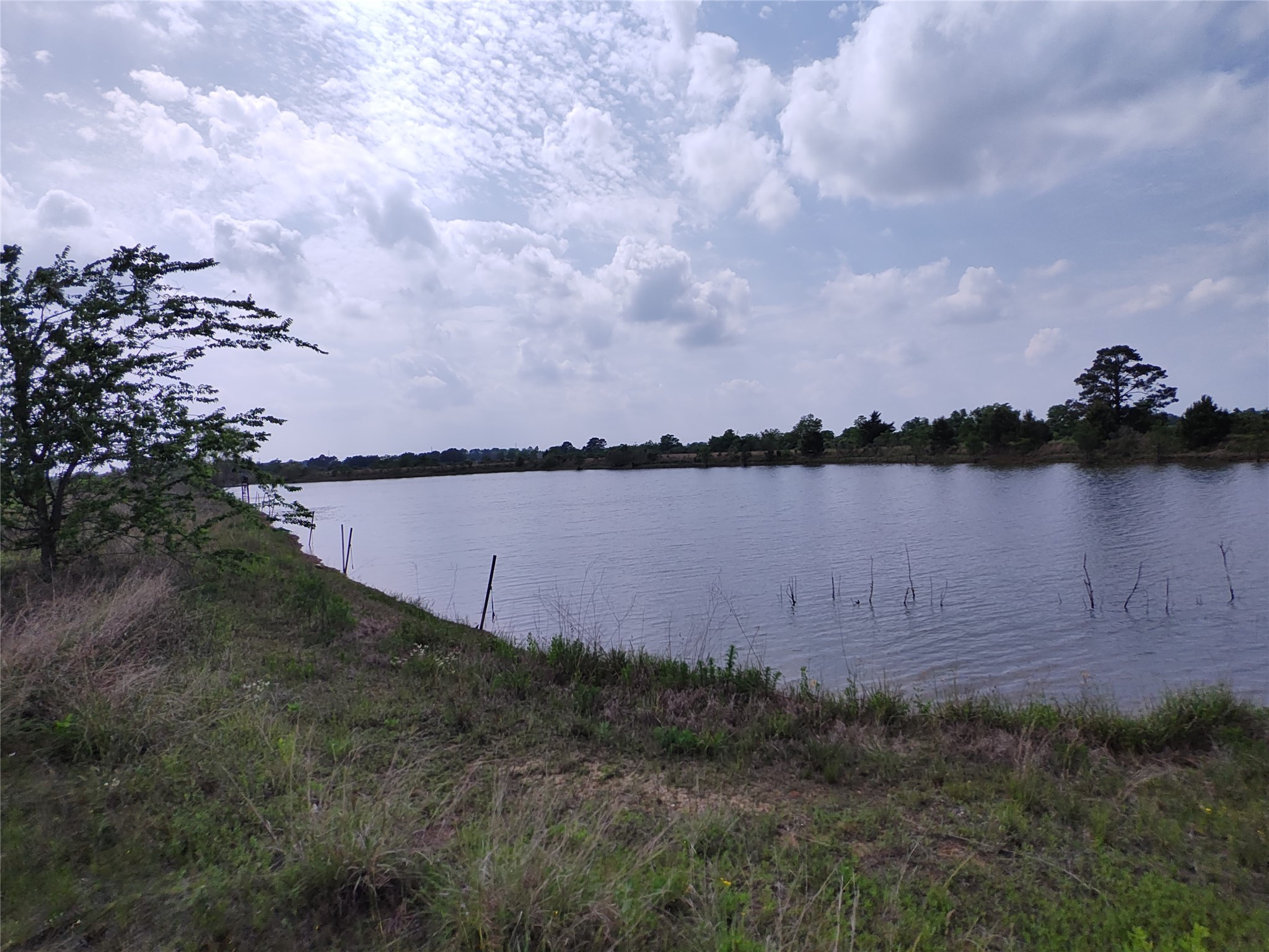 19709 Becker Road Hockley, TX 77447 - Photo 6 of 7