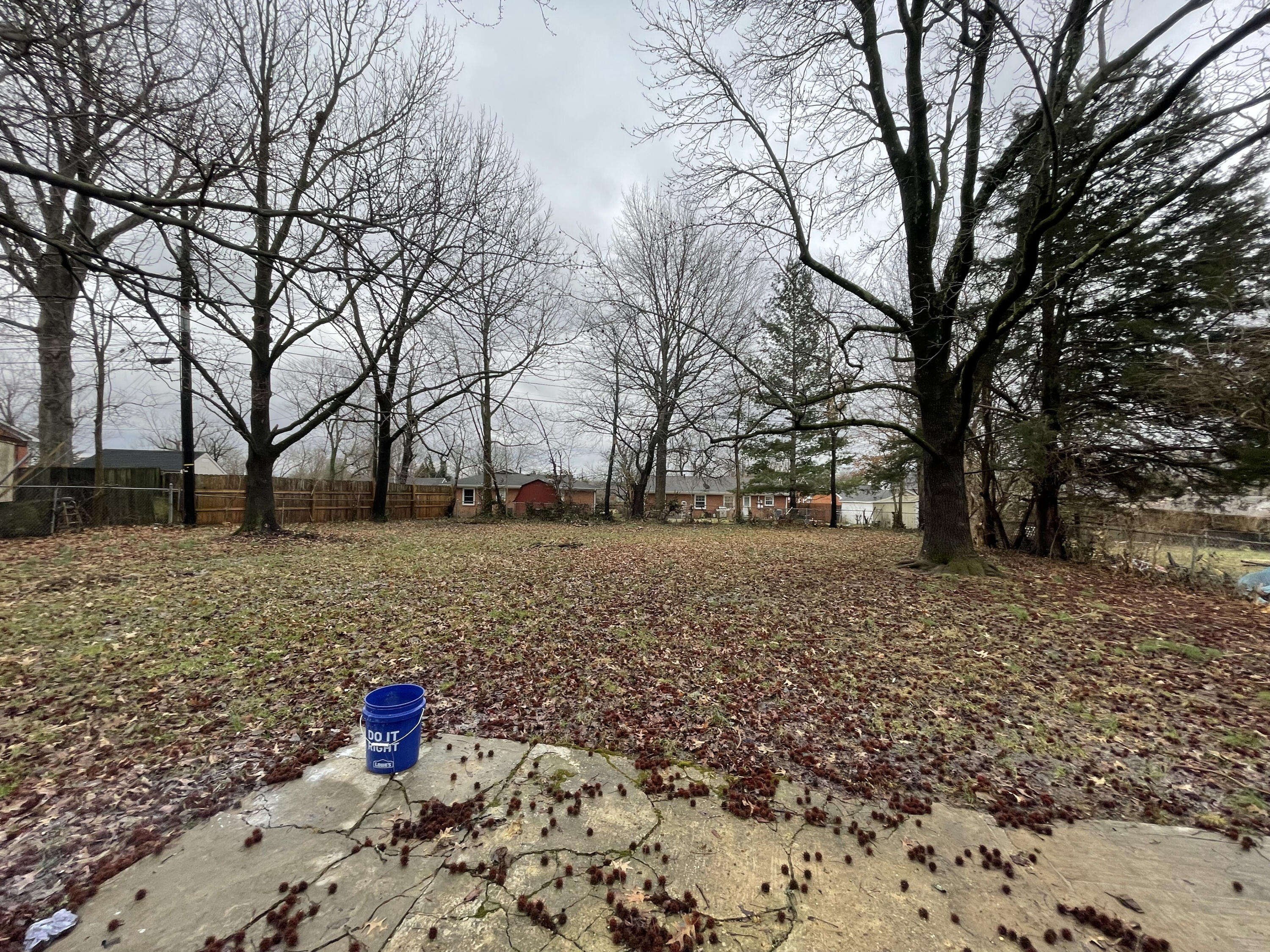 534 Radcliffe Road Lexington, KY 40505 - Photo 31 of 32 backyard