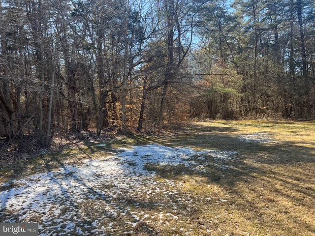 Hoyles Mill Road Boyds, MD 20841 - Photo 4 of 7 a view of dirt yard with a large tree