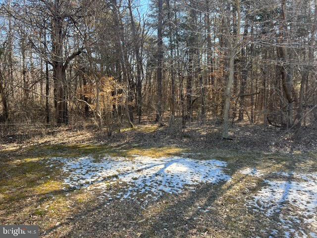 Hoyles Mill Road Boyds, MD 20841 - Photo 6 of 7 a view of yard