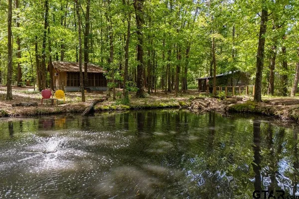 a view of lake with trees