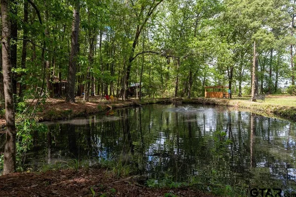 a lake view with lots of trees