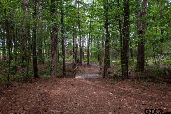 a view of outdoor space and trees