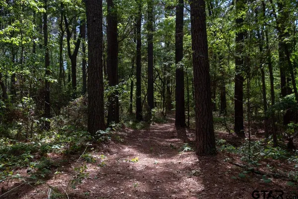 a view of outdoor space and green space