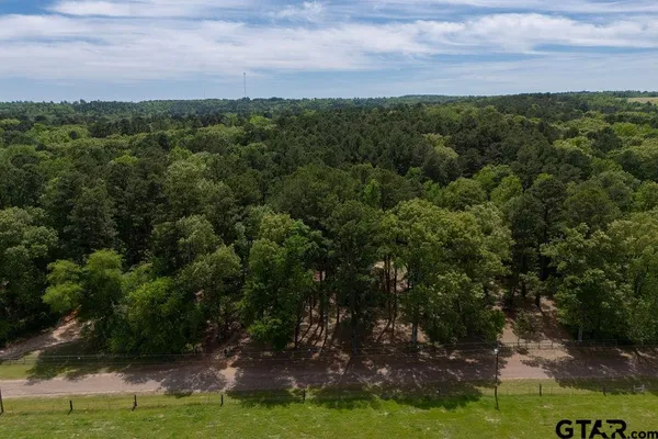a view of a city with lush green forest