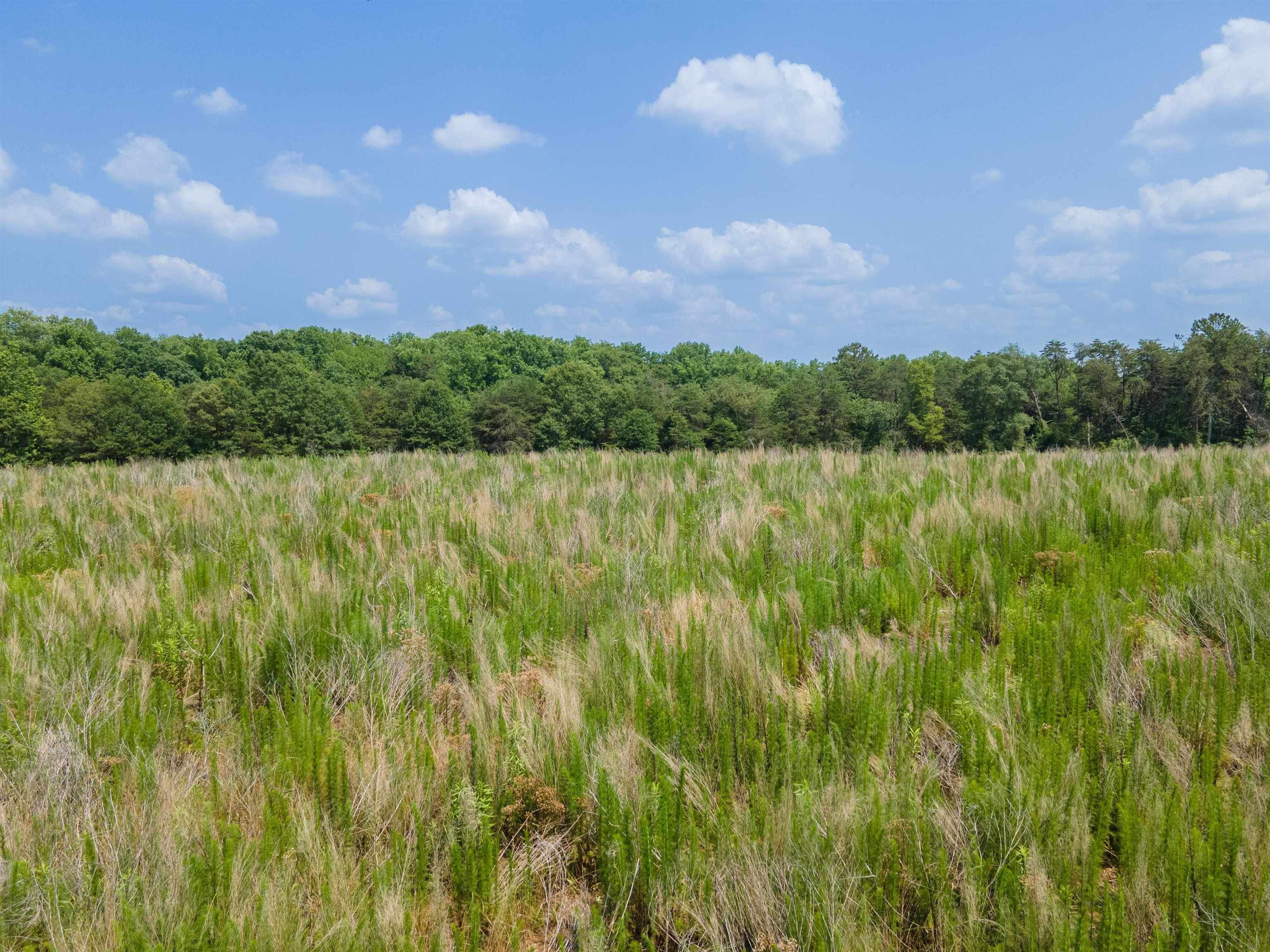 A Cooley Springs School Road Chesnee, SC 29323 - Photo 1 of 11 Gallery Image 1
