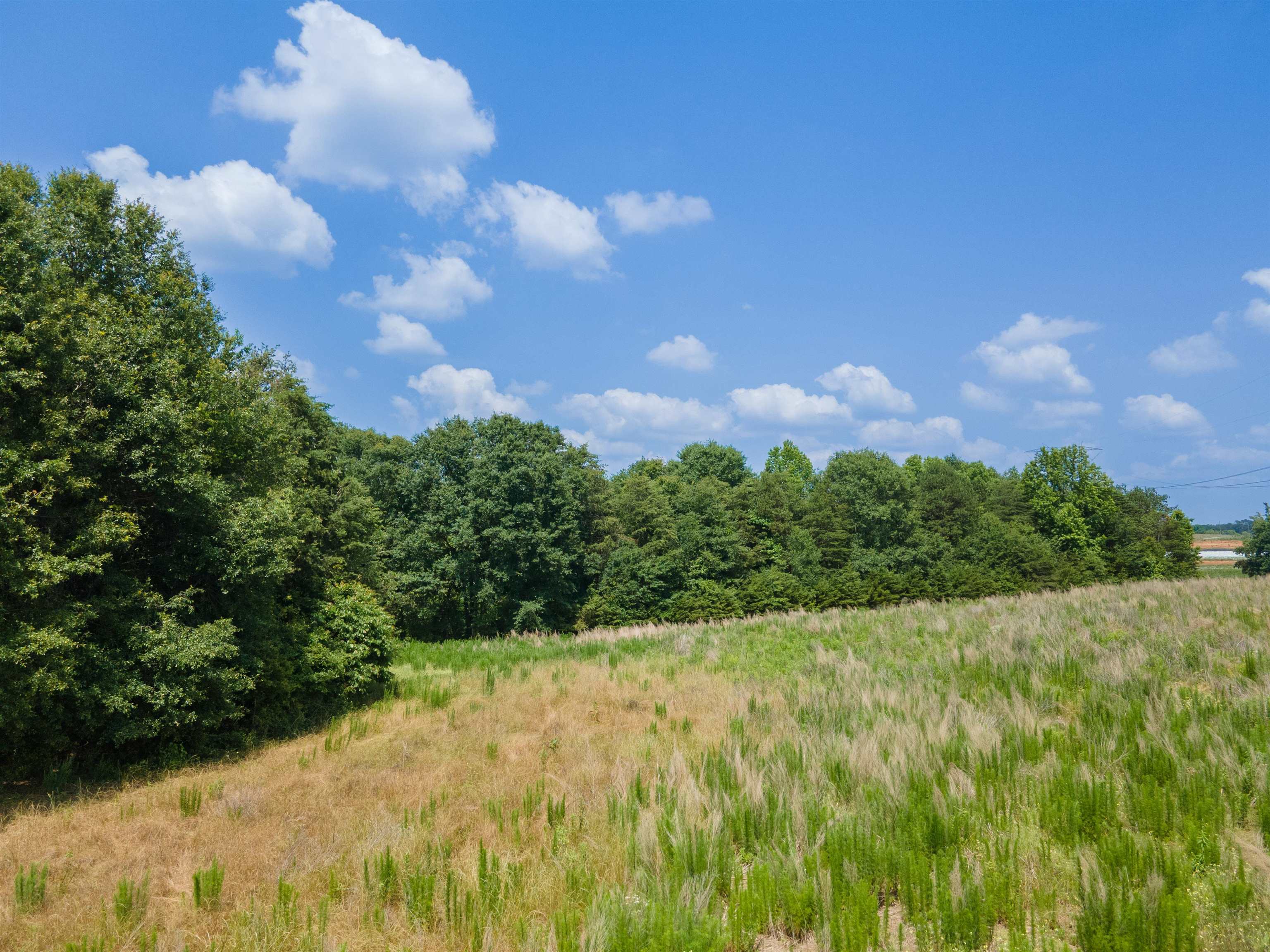 A Cooley Springs School Road Chesnee, SC 29323 - Photo 3 of 11 Gallery Image 3