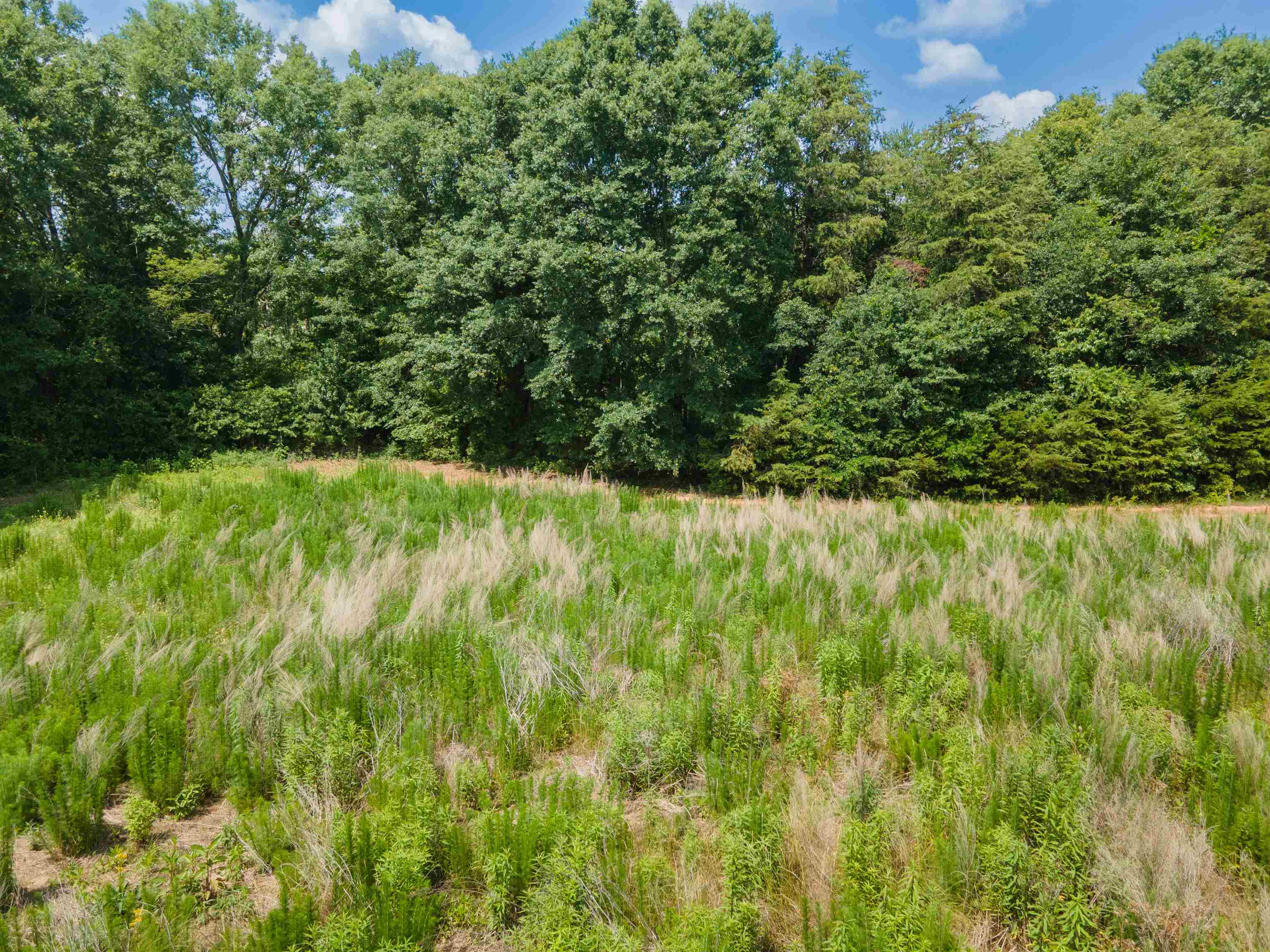 A Cooley Springs School Road Chesnee, SC 29323 - Photo 4 of 11 Gallery Image 4