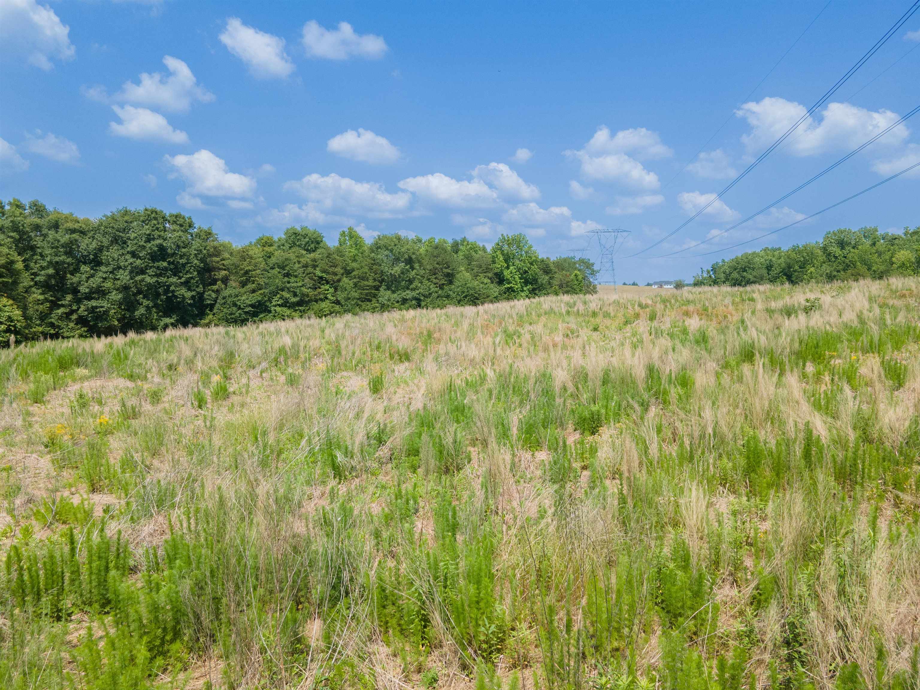 A Cooley Springs School Road Chesnee, SC 29323 - Photo 5 of 11 Gallery Image 5