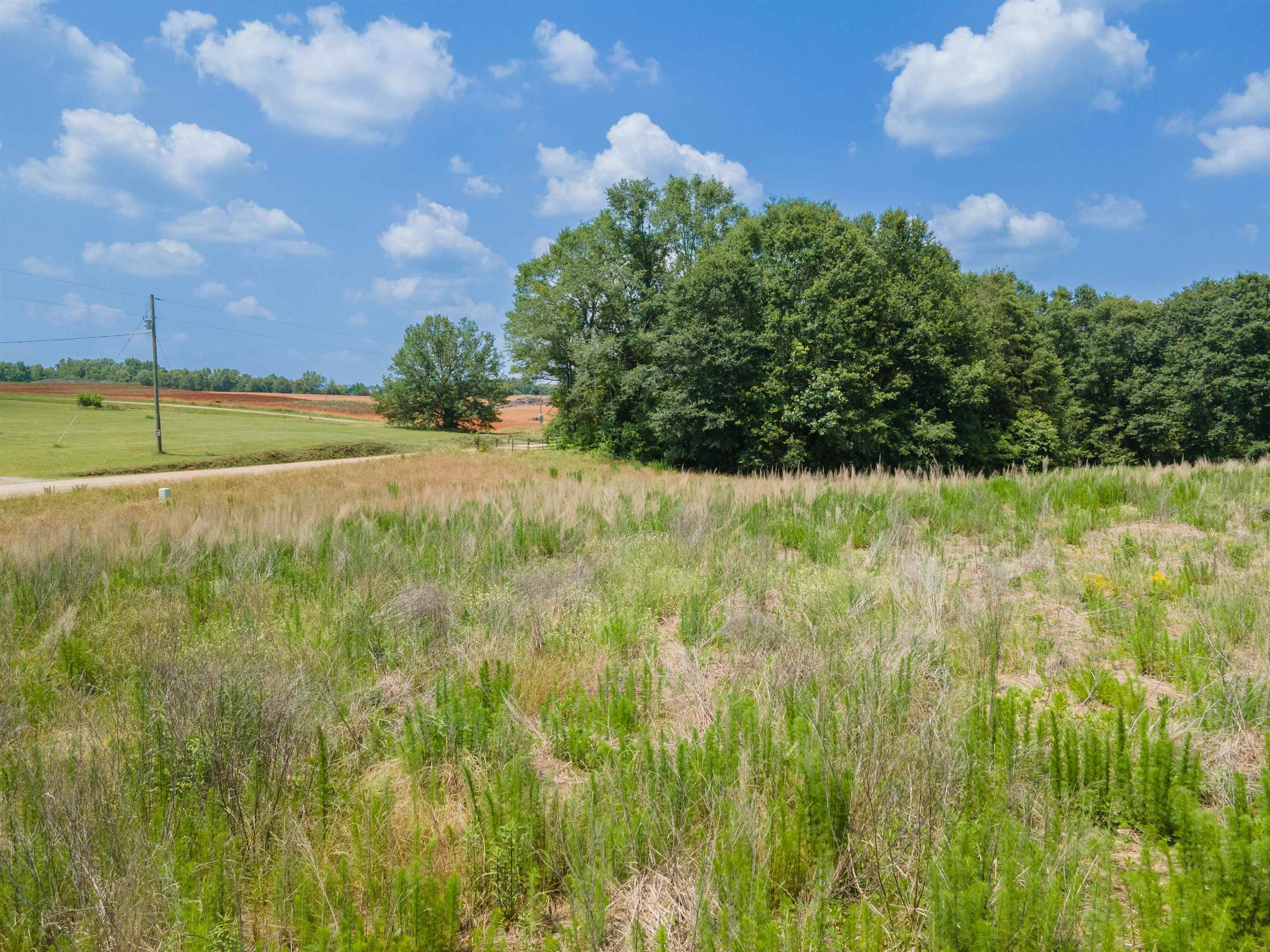 A Cooley Springs School Road Chesnee, SC 29323 - Photo 6 of 11 Gallery Image 6