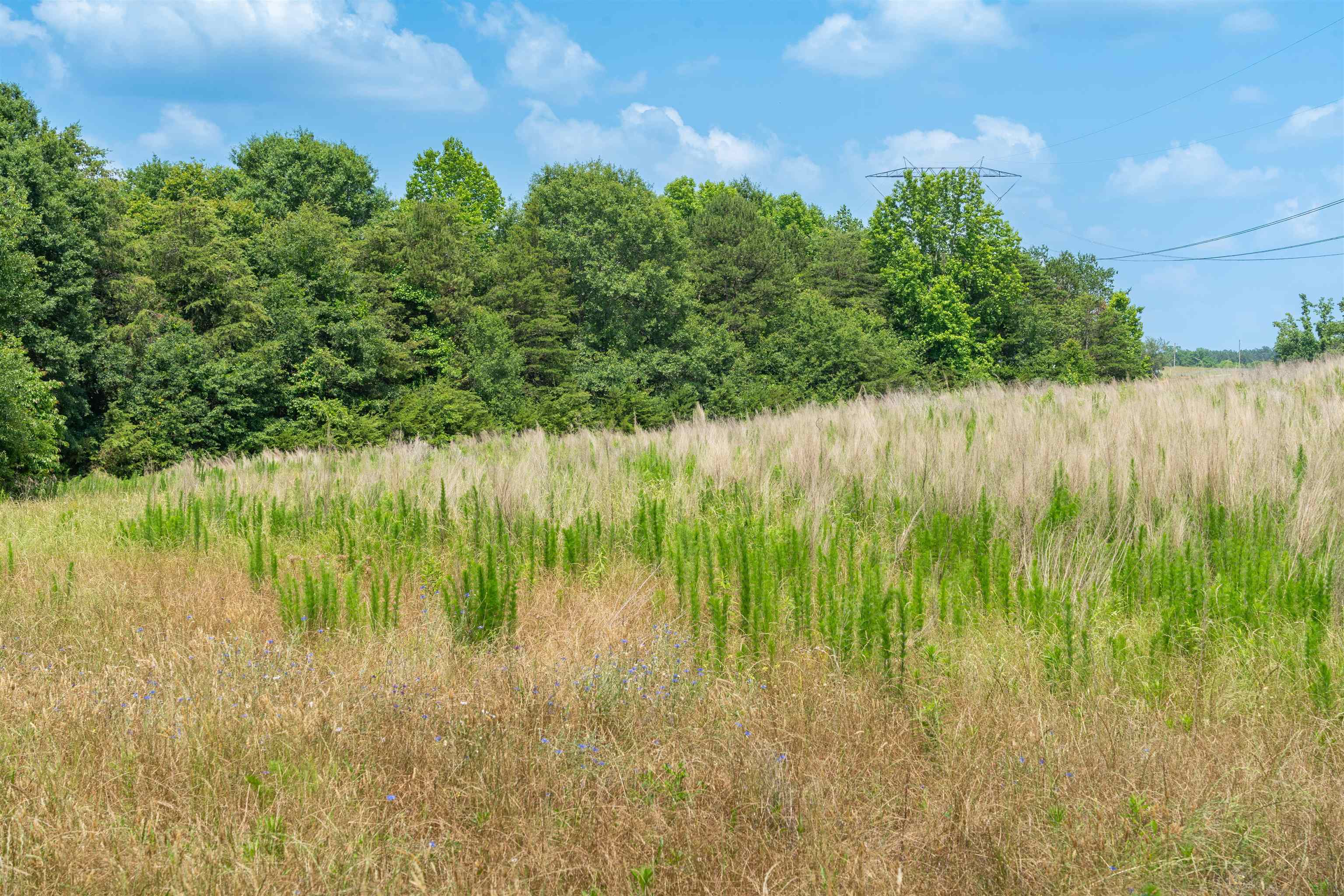 A Cooley Springs School Road Chesnee, SC 29323 - Photo 7 of 11 Gallery Image 7