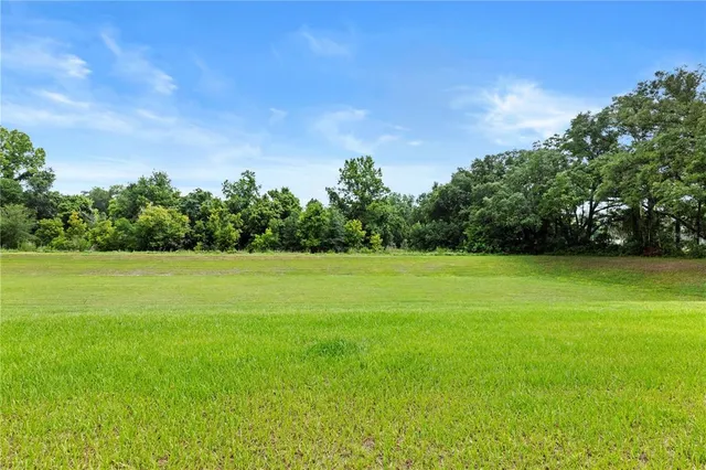 a view of yard with swimming pool and green space
