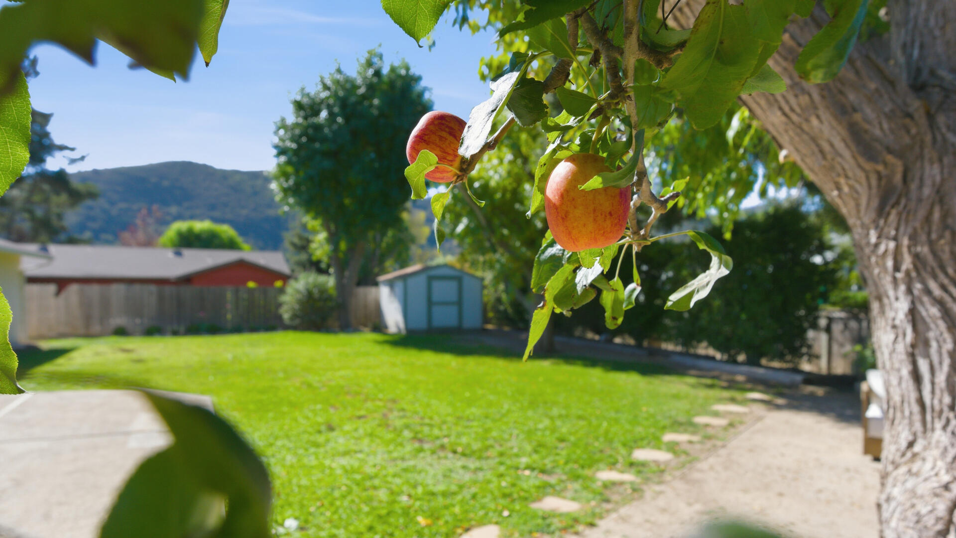 67 Pepperwood Way Solvang, CA 93463 - Photo 19 of 25 a view of a yard with palm trees