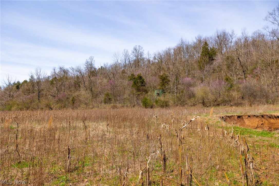 East Branch Road Lowell, OH 45744 - Photo 6 of 29