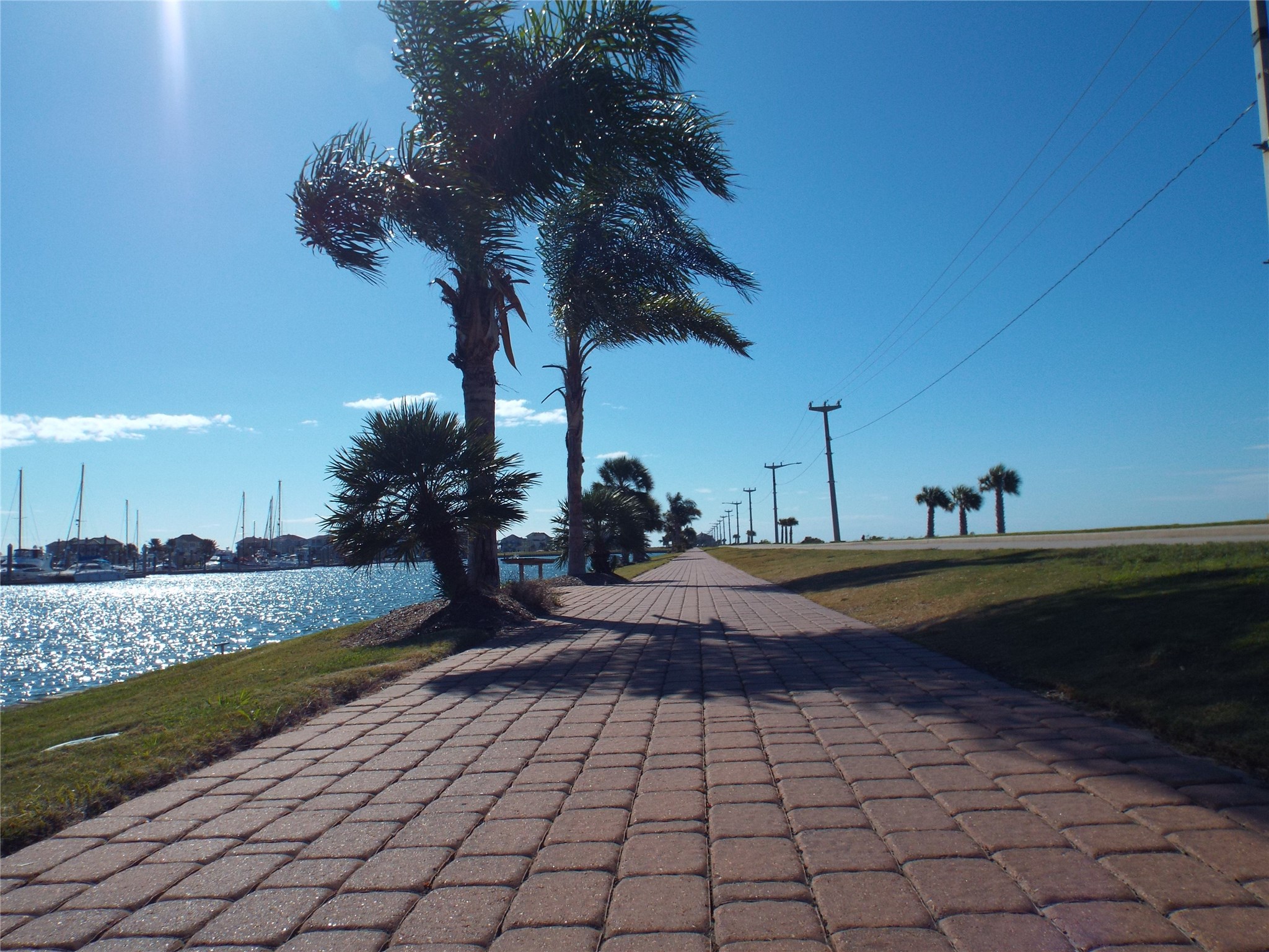 2 Little Torch Hitchcock, TX 77563 - Photo 43 of 49 a view of a backyard of the house