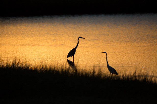 2 Little Torch Hitchcock, TX 77563 - Photo 48 of 49 a ocean view with a lake view