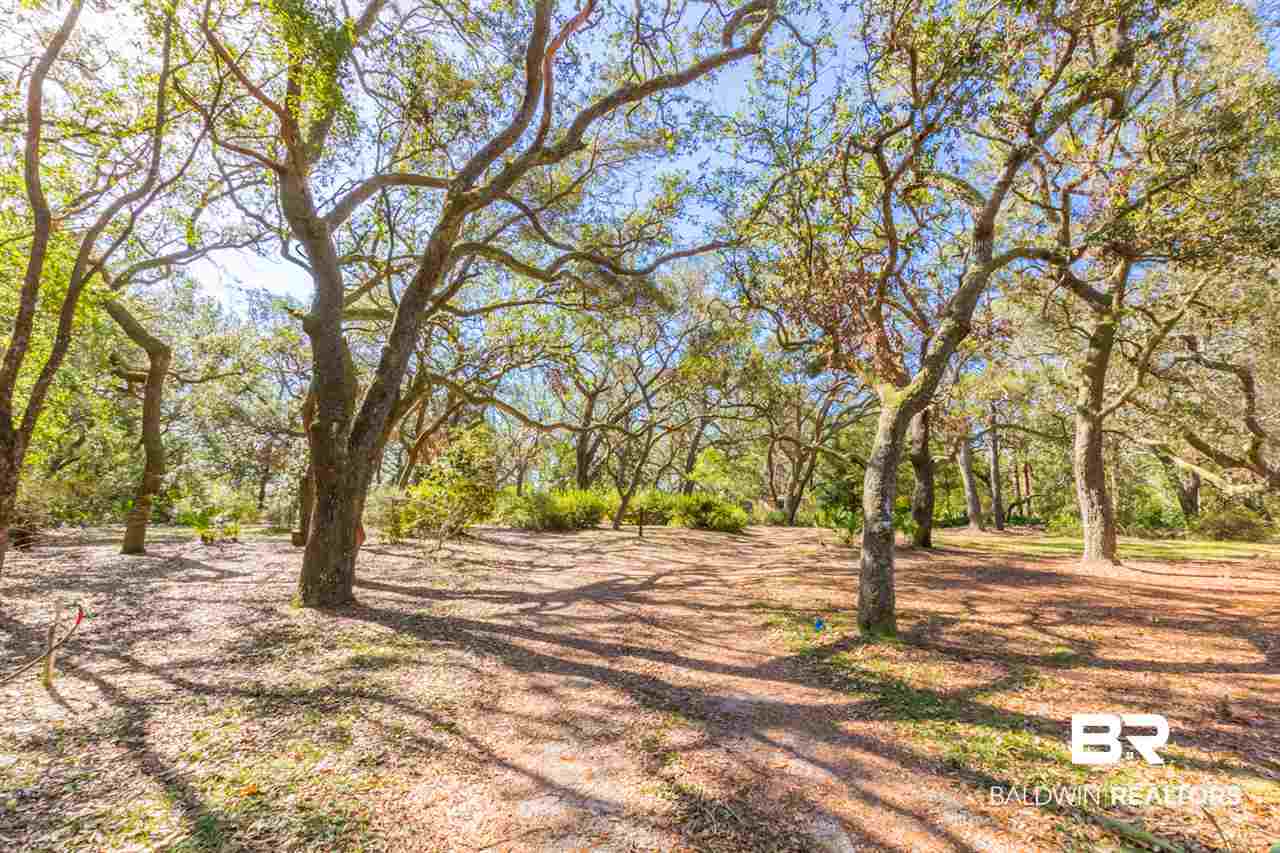 8790 Red Fish Pt Road Lillian, AL 36549 - Photo 22 of 35