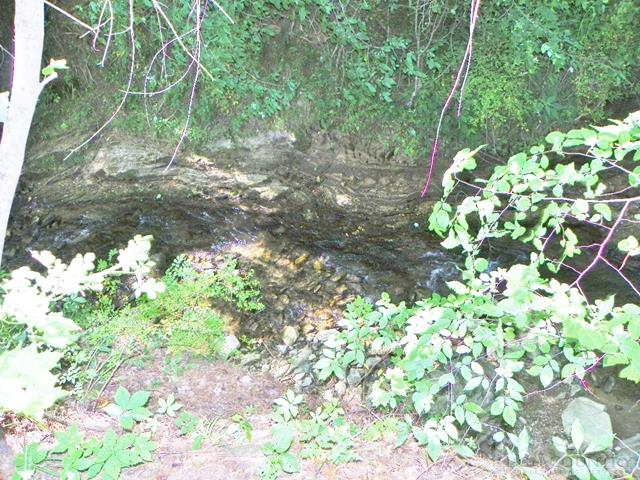 438 Jake's Mountain Road Deep Gap, NC 28618 - Photo 18 of 26 Gallery Image 18