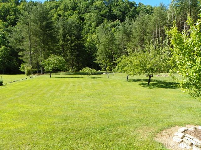 438 Jake's Mountain Road Deep Gap, NC 28618 - Photo 10 of 26 Gallery Image 10