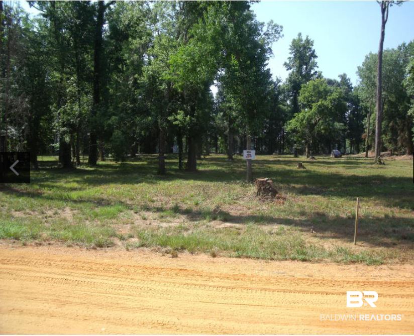 17 Sandy Bottoms Road Gainestown, AL 36540 - Photo 3 of 4