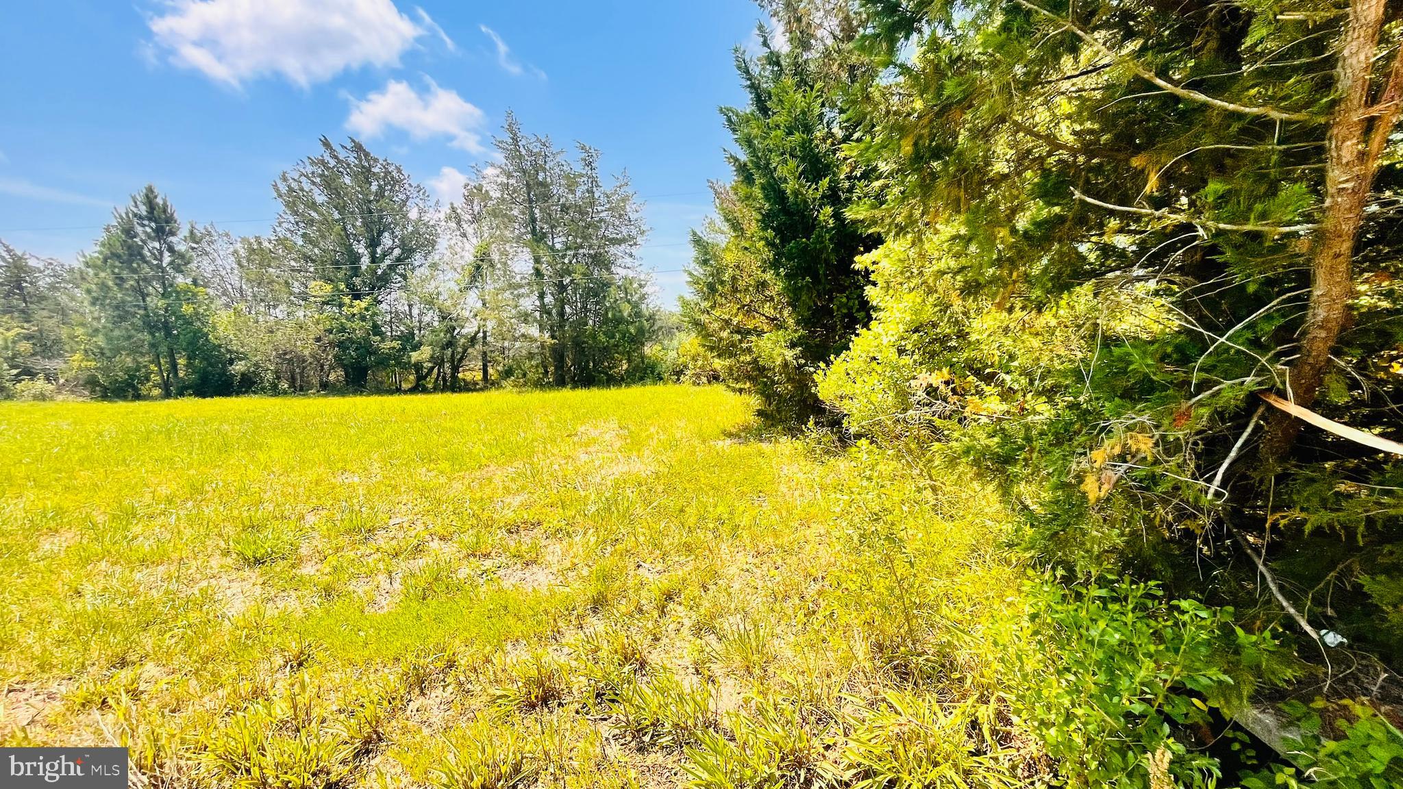 1609 Heliport Road Woolford, MD 21677 - Photo 18 of 37