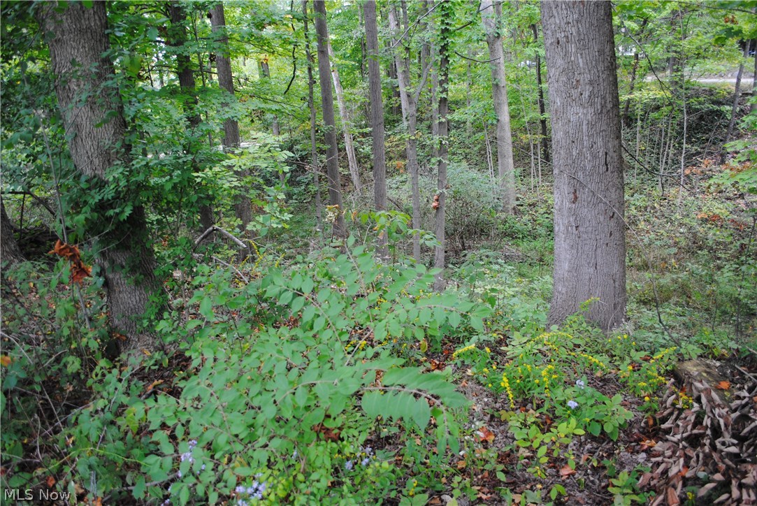 4297 Hamilton Road Medina, OH 44256 - Photo 10 of 13 Gallery Image 10