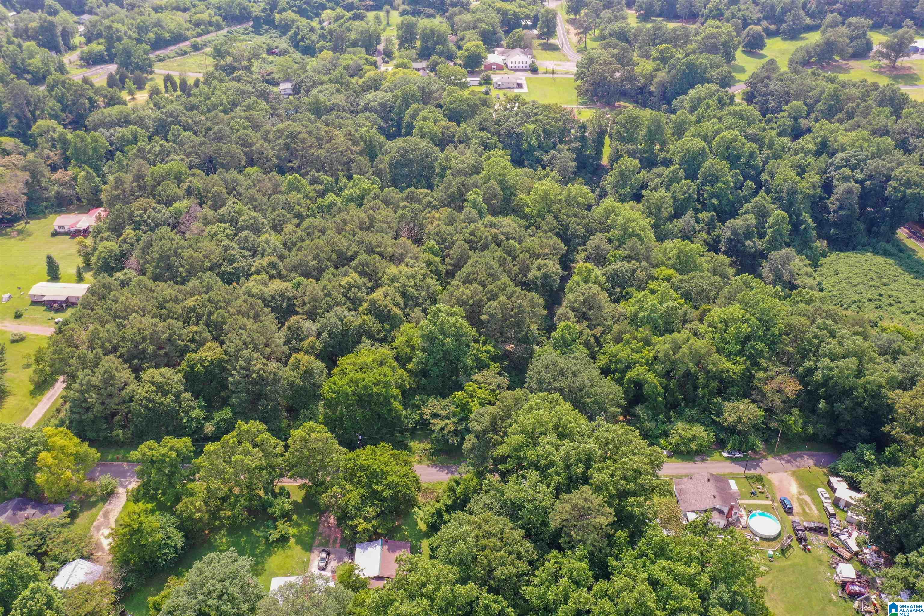 110 5th Avenue Mulga, AL 35118 - Photo 2 of 18