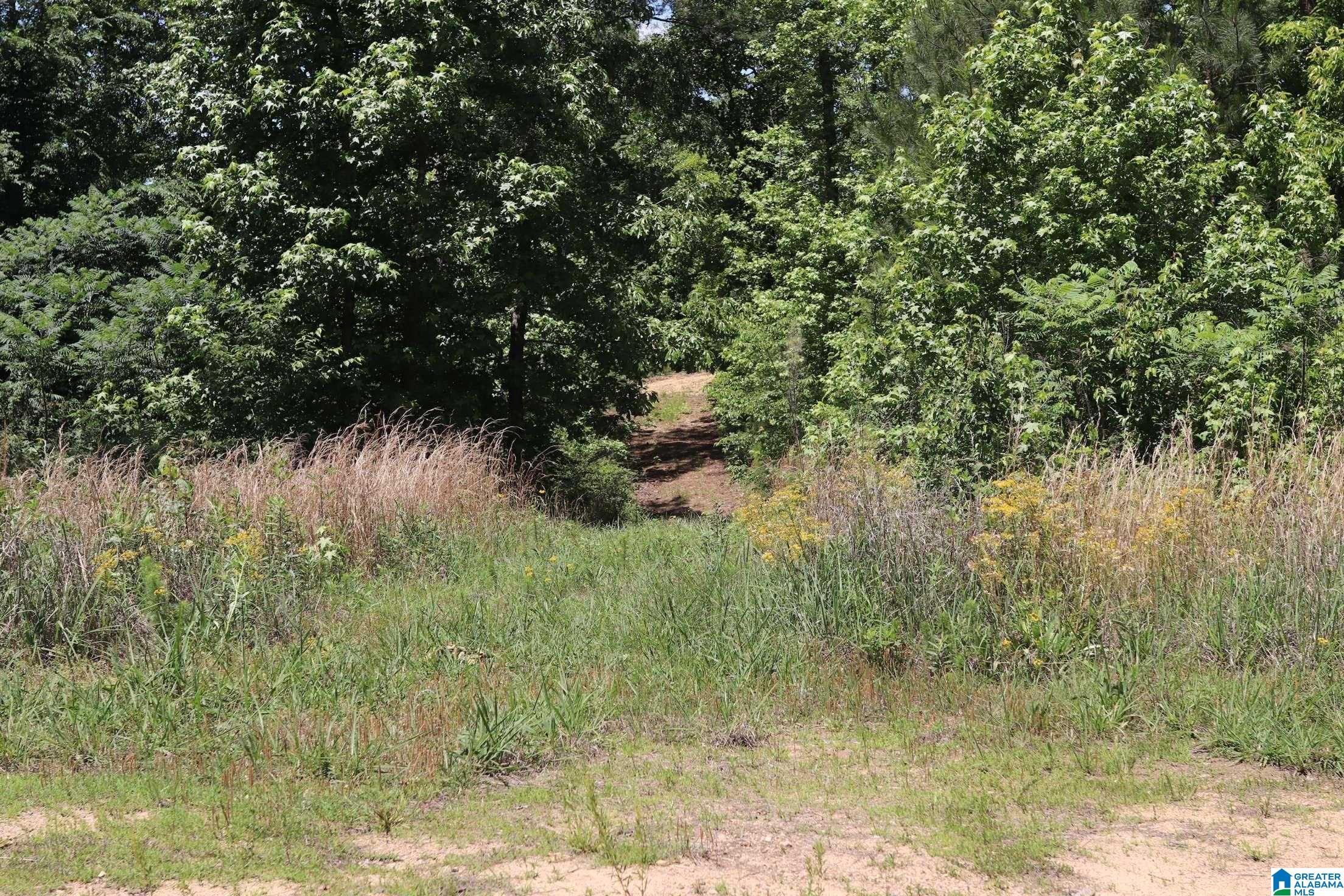 2930 Shocco Springs Road Talladega, AL 35160 - Photo 75 of 93