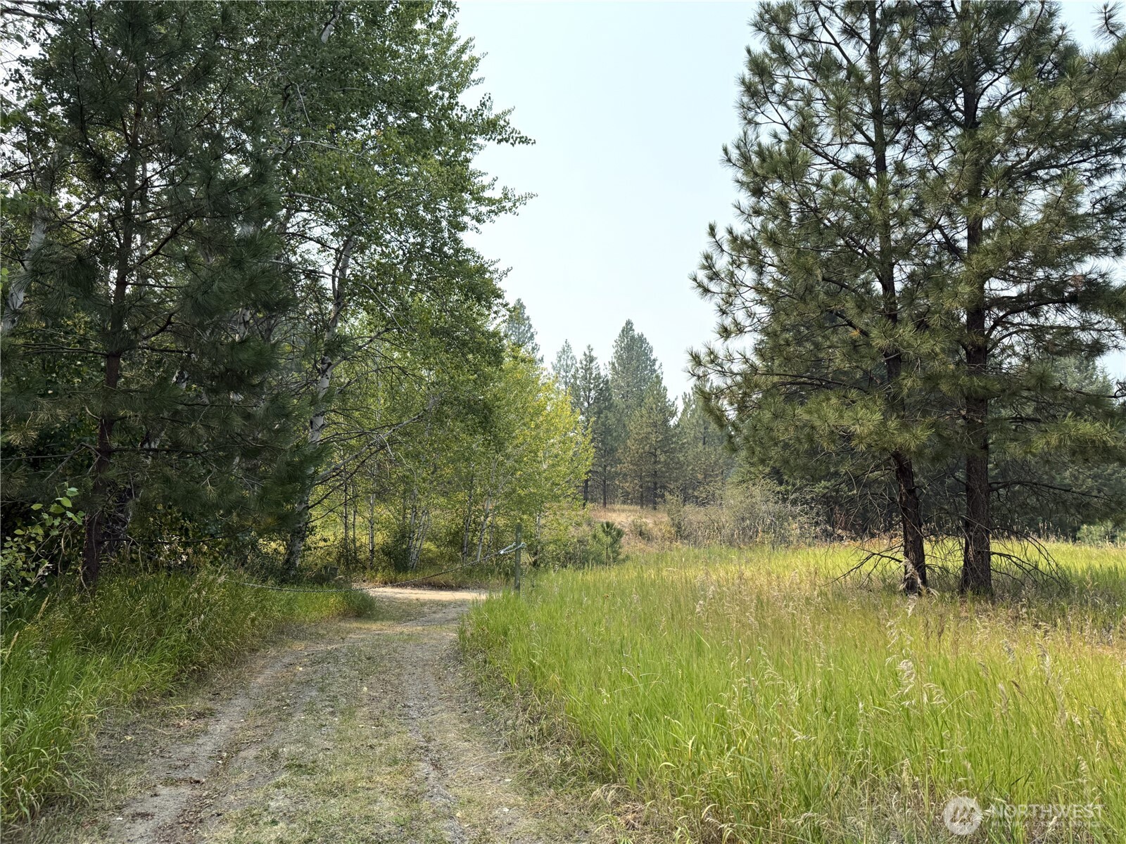 90 Gulch Road Malo, WA 99150 - Photo 25 of 25 Gallery Image 25