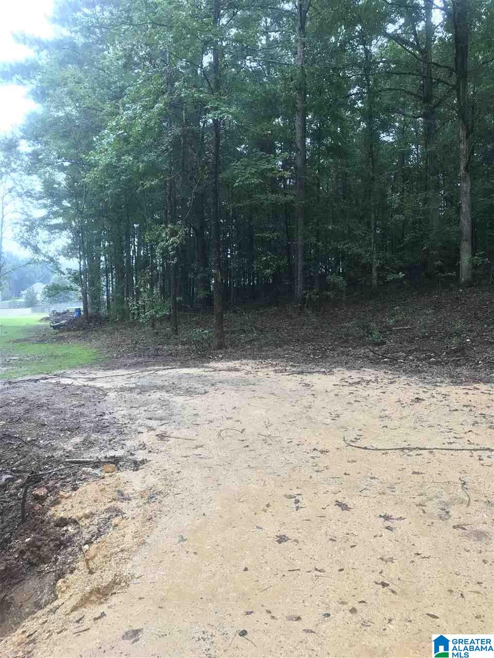 0 Cross Street, Unit 9 Springville, AL 35146 - Photo 2 of 2