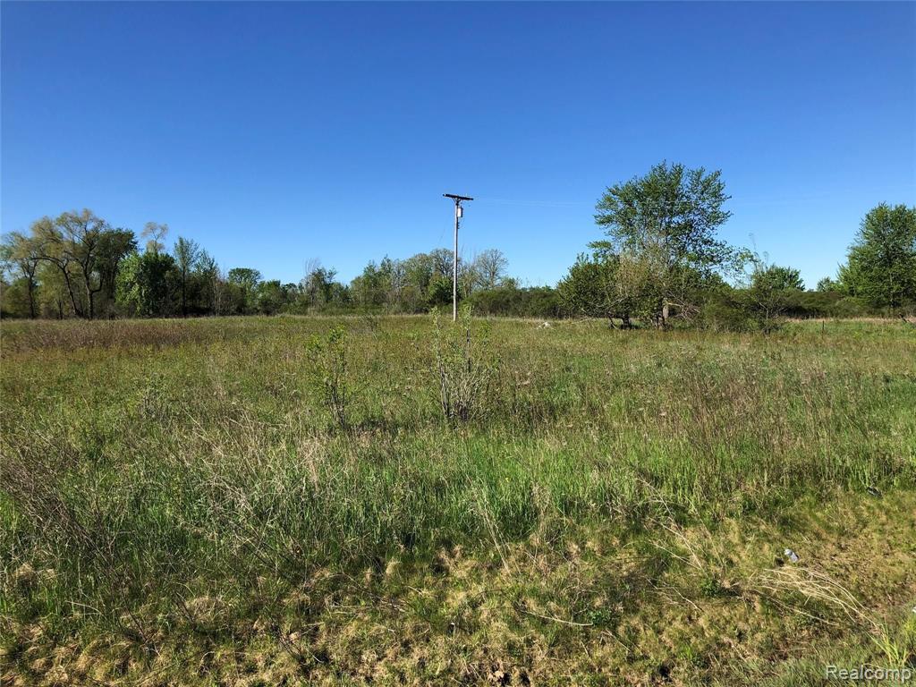 Parcel G Imlay City Road Imlay City, MI 48444 - Photo 2 of 5 Gallery Image 2
