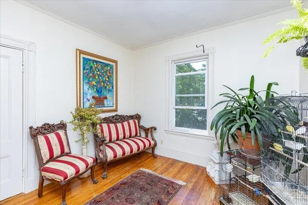 a living room with a couch and a potted plant
