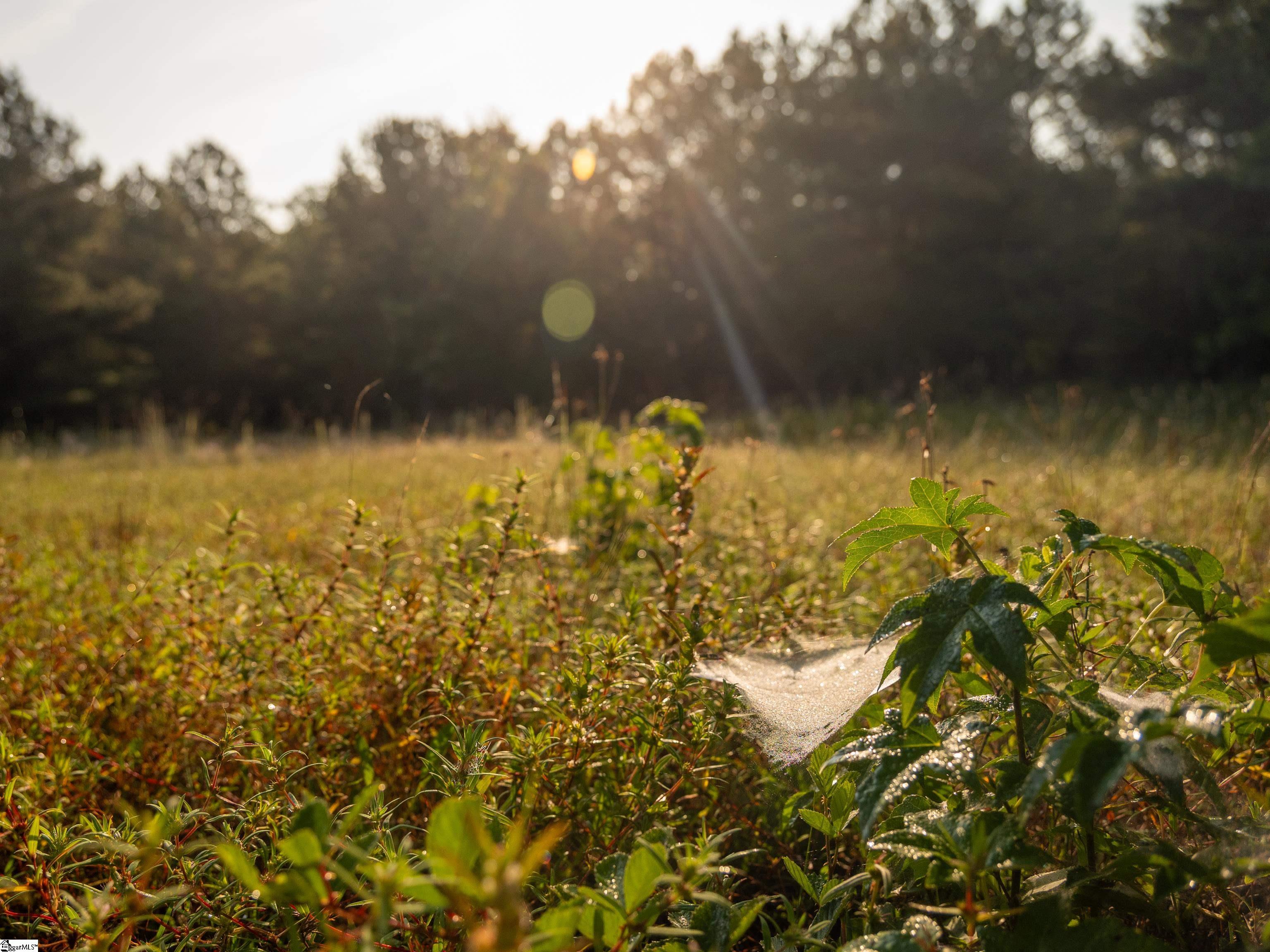 1 Spring Valley Road, Unit LOT 1 Liberty, SC 29657 - Photo 10 of 15