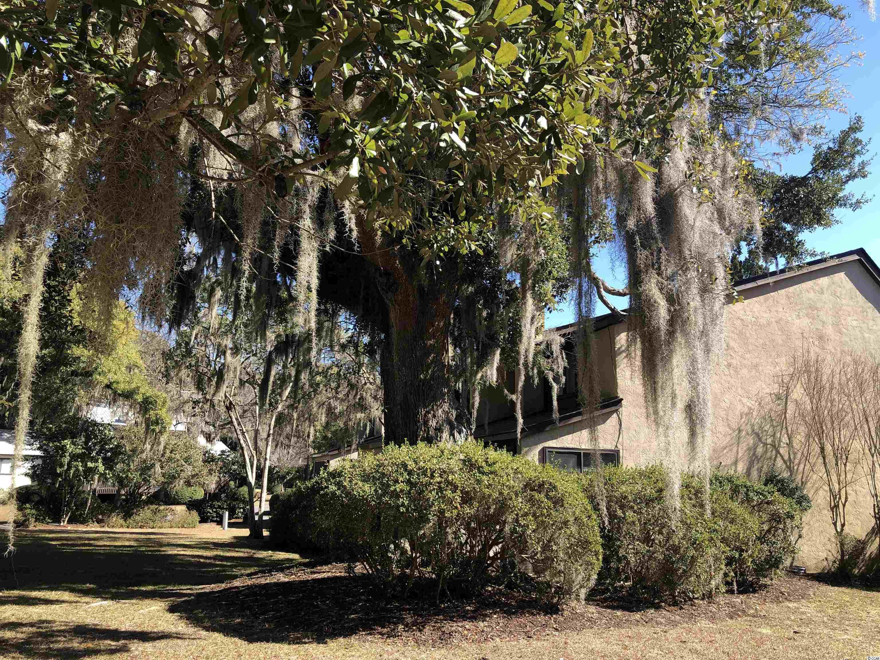 58 Peter Horry Court, Unit 153 Georgetown, SC 29440 - Photo 30 of 40 Gallery Image 30