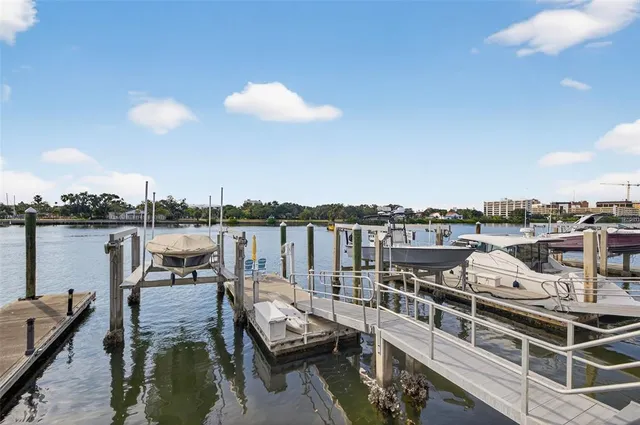 $4,100,000 | 1009 Royal Pass Road, Tampa, FL 33602