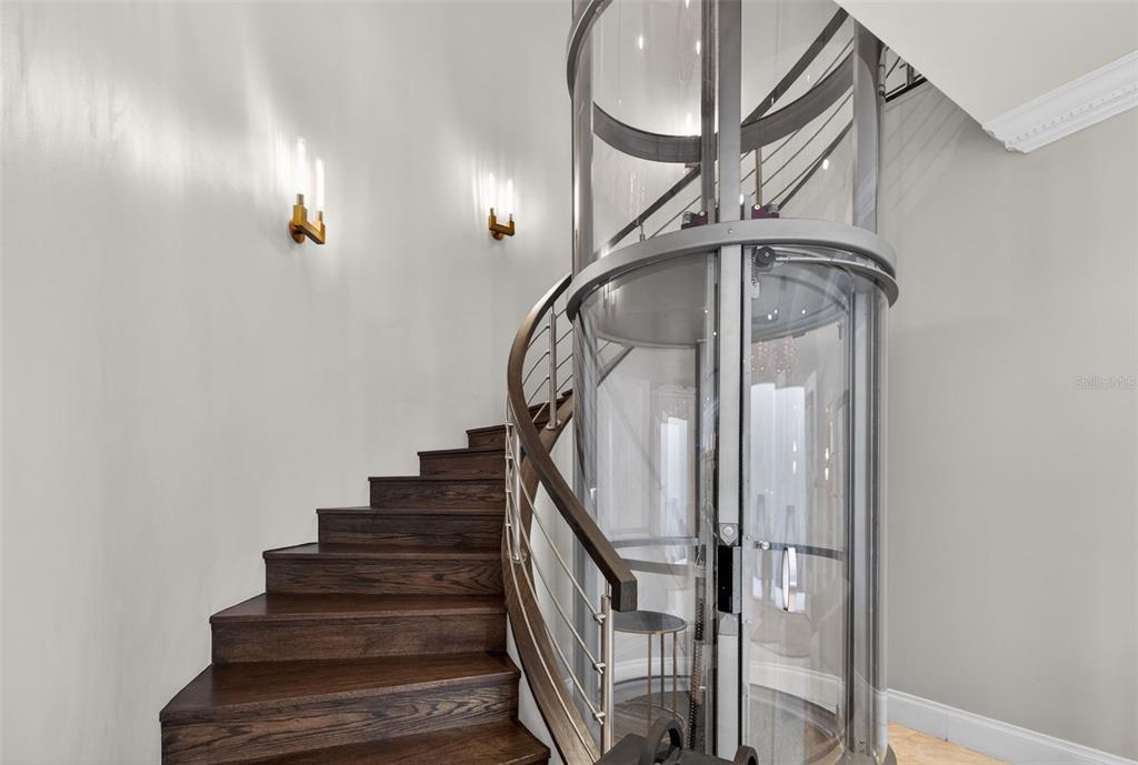 1009 Royal Pass Road Tampa, FL 33602 - Photo 36 of 74