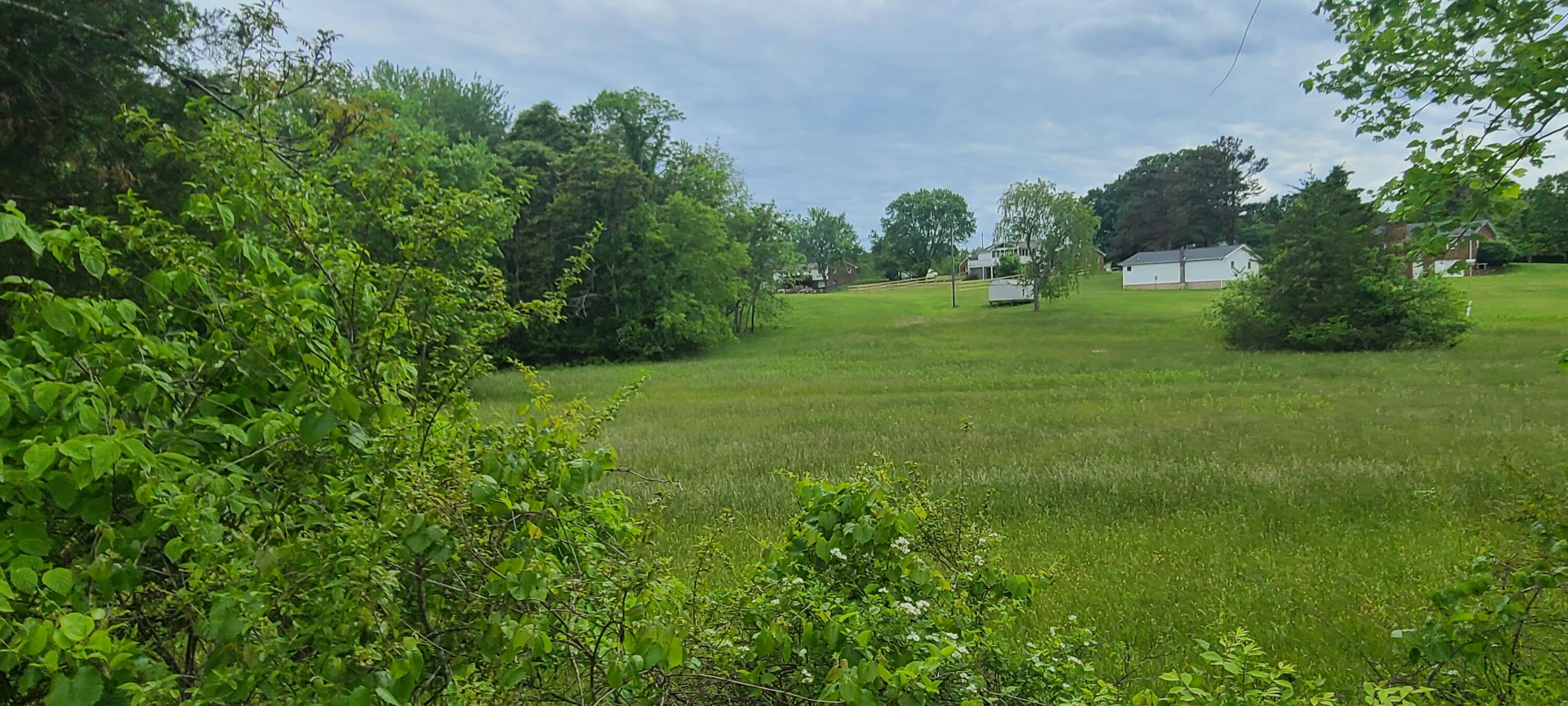 Lot 8 Edwardsville Road Hardy, VA 24101 - Photo 4 of 7 1000003240