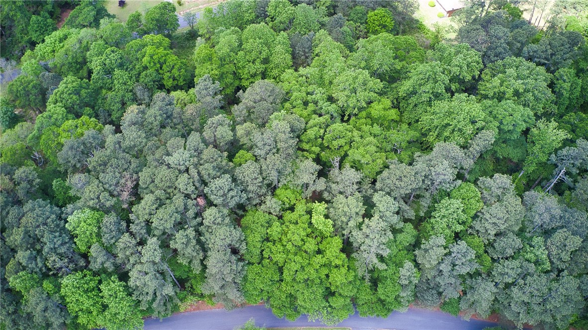 0 Kingsboro Road Anderson, SC 29626 - Photo 7 of 10