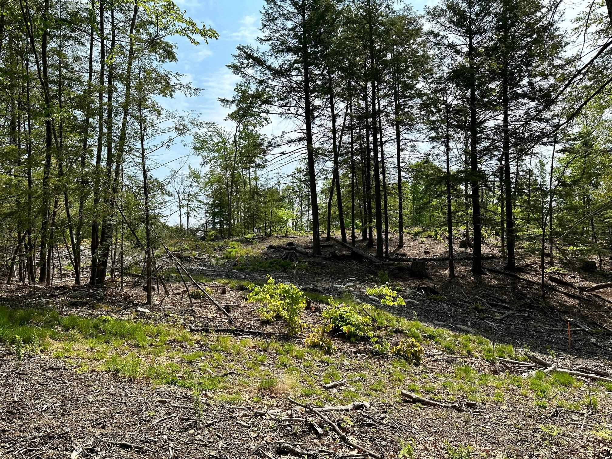 A Old Turnpike Road Northwood, NH 03261 - Photo 1 of 1