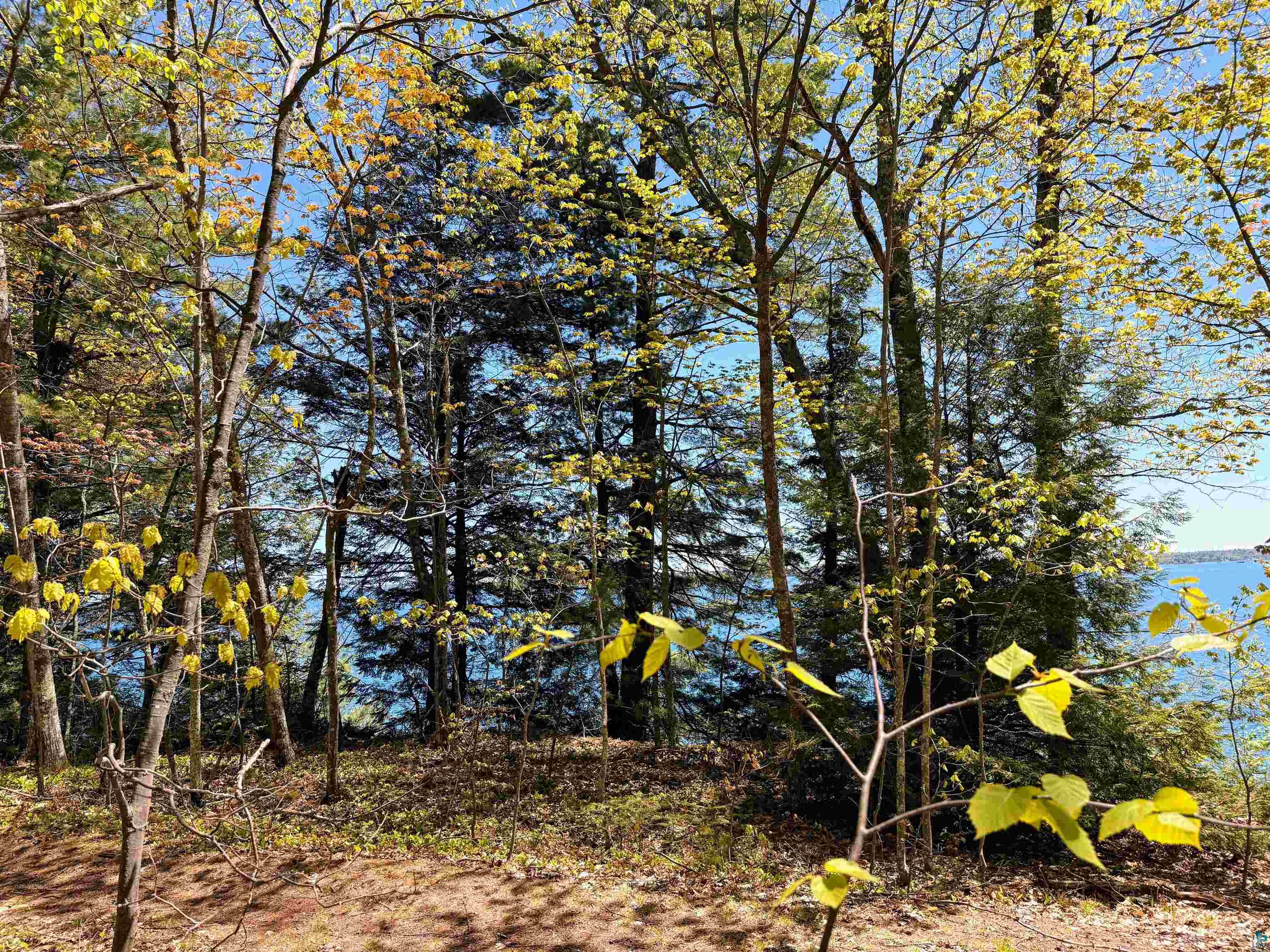 Lot 5 Blue Wing Bay Road Bayfield, WI 54814 - Photo 10 of 11